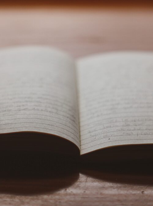 Notice for extraordinary contributions to disseminate Italian books abroad