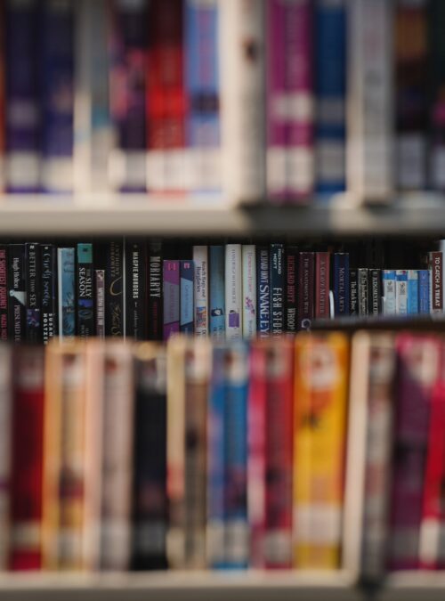 Books and literary festivals: news from Lyon and its surroundings