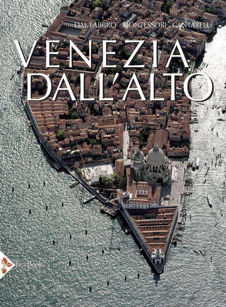 Venice from above