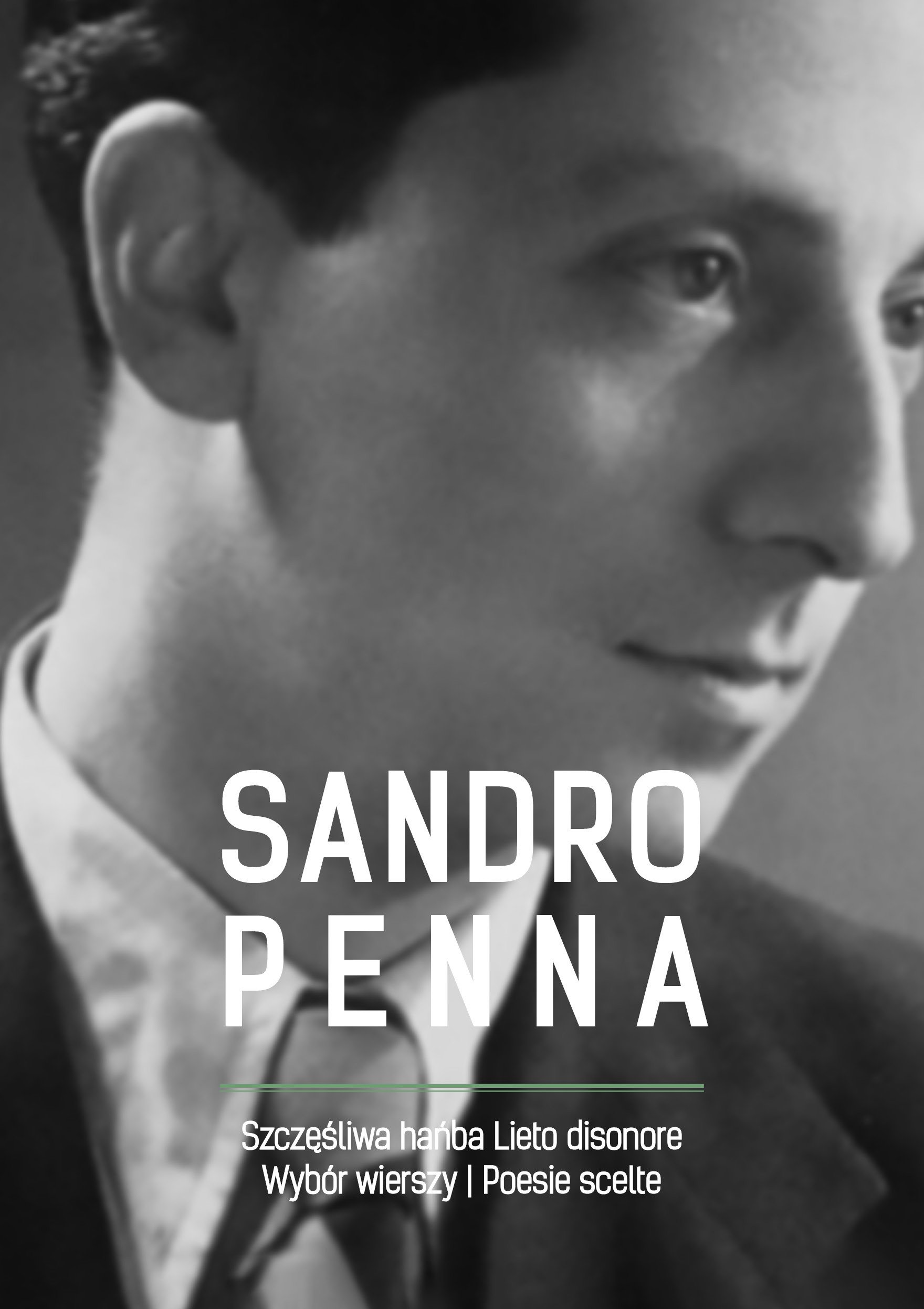 An anthology of poems by Sandro Penna