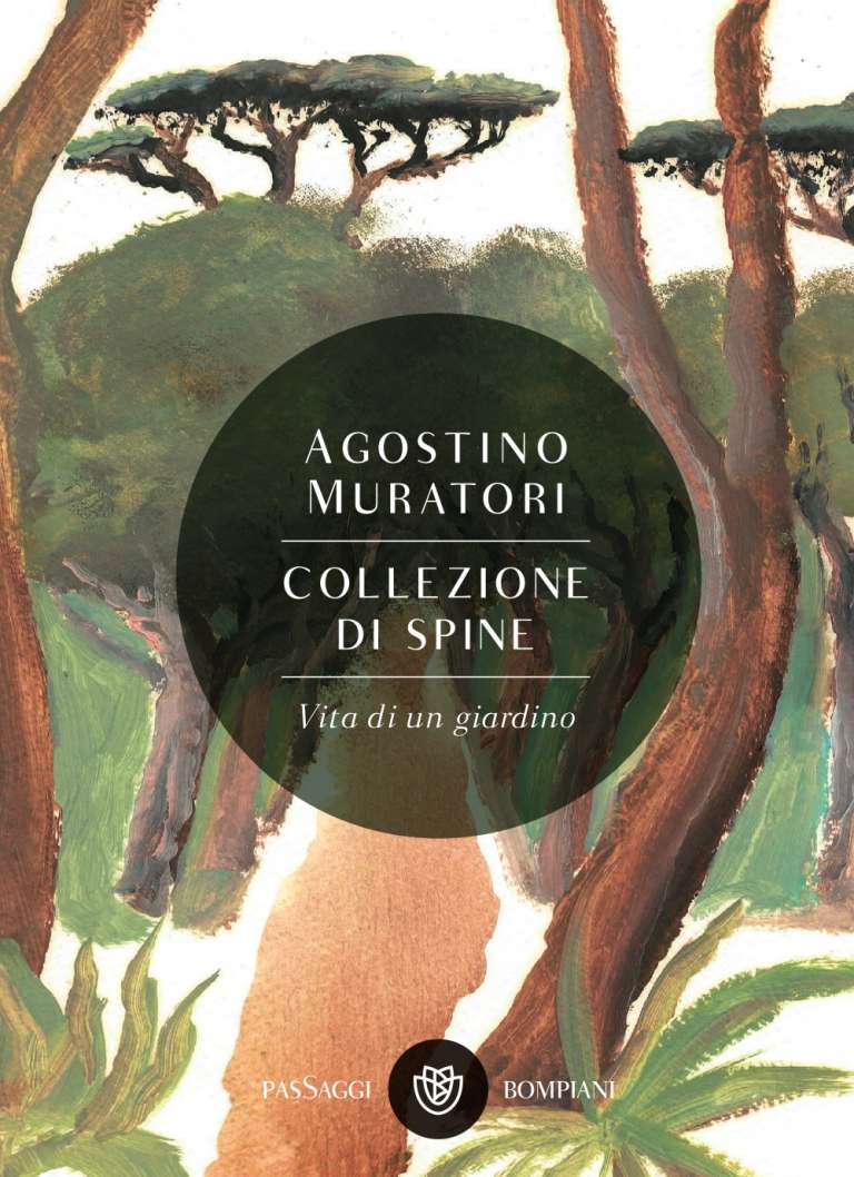 Collezione di spine (Collection of Thorns)