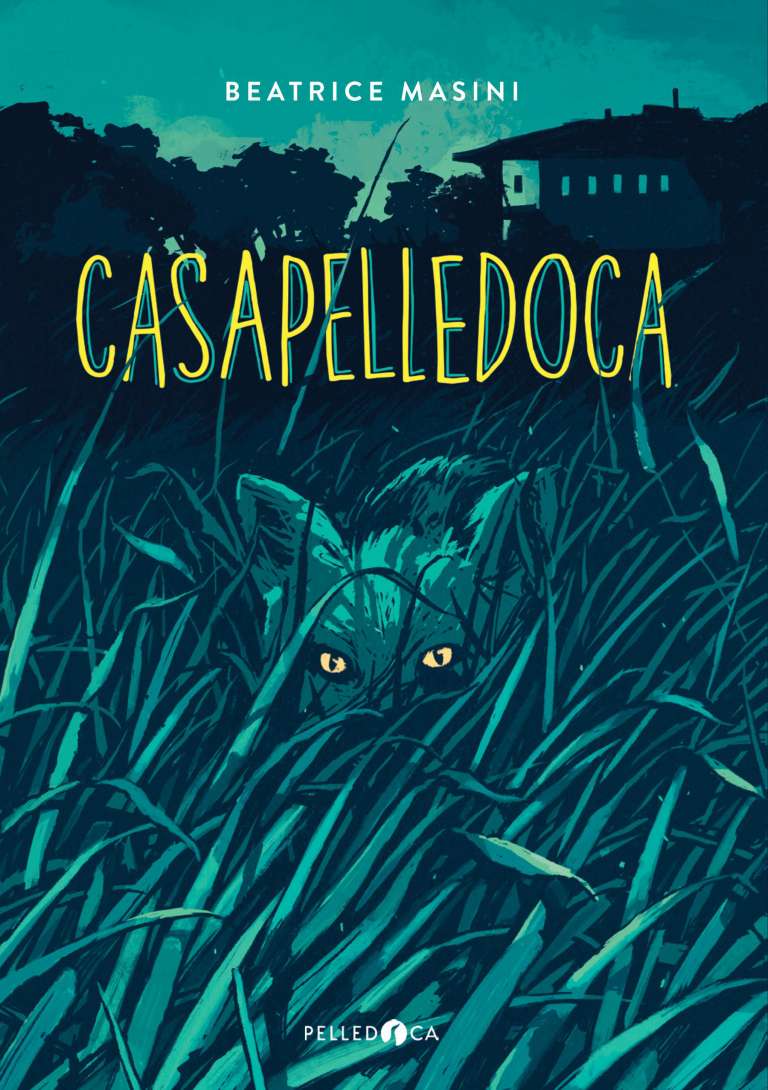 Casapelledoca