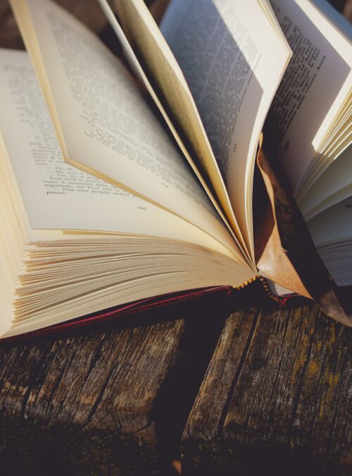 Italian books in Albania