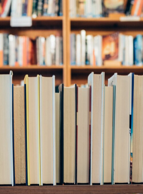 Interview with Emanuela Canali, foreign rights manager at Mondadori Libri