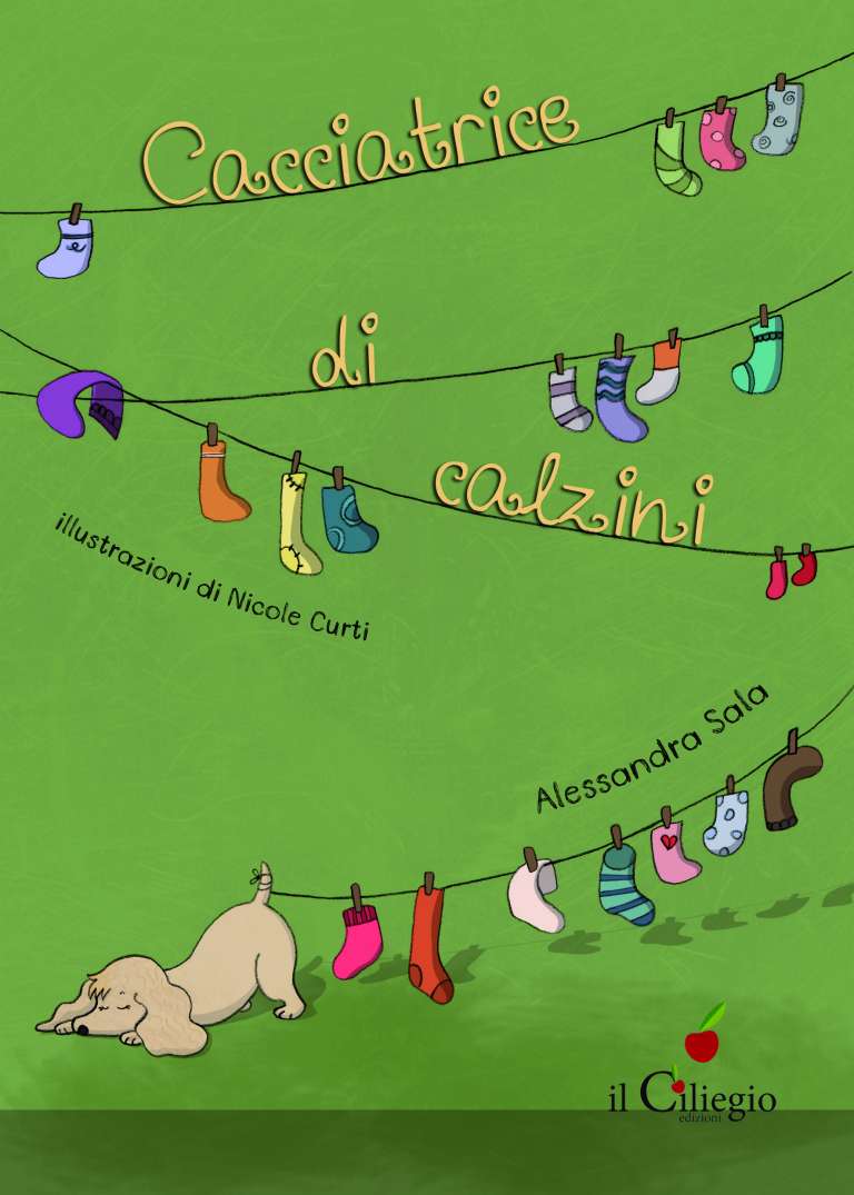 Cacciatrice di calzini
