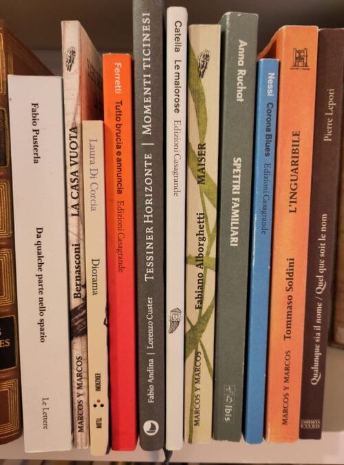 Literature in Italian in Switzerland: a dialogue between North and South