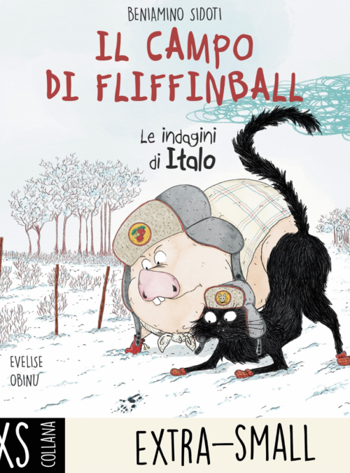 Il campo di Fliffinball. Le indagini di Italo