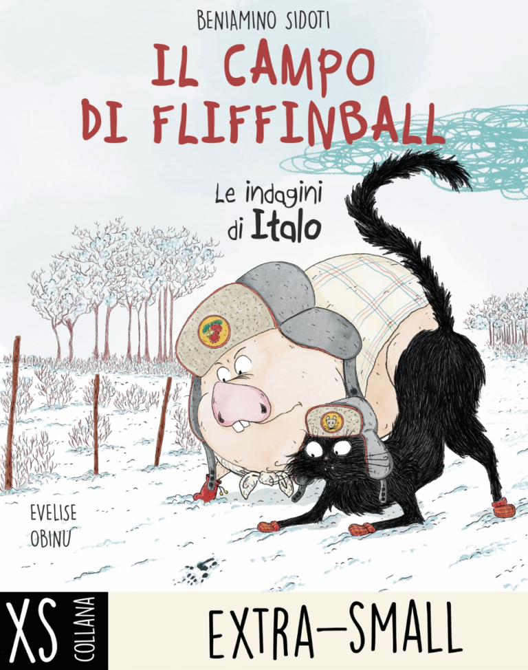 Il campo di Fliffinball. Le indagini di Italo