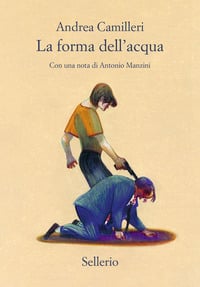 La forma dell’acqua