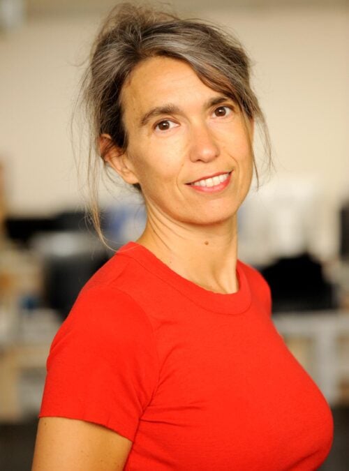 Interview with Cristina Palomba and Vincenzo Ostuni, editorial directors at Ponte alle Grazie.