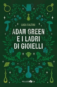 Adam Green e i ladri di gioielli