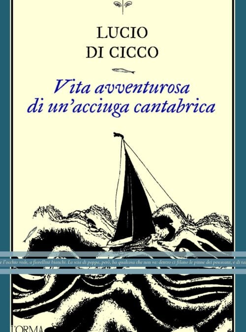 Vita avventurosa di un’acciuga cantabrica