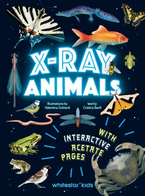 Animali ai raggi X