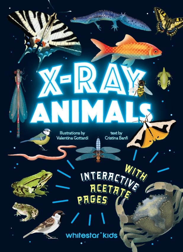 Animali ai raggi X